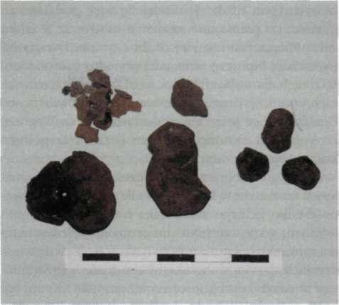 228 Studia i materiały do badań nad późnym neolitem Wysoczyzny Kujawskiej Ryc. 15.4. Opatowice, pow. Radziejów, stan. 1. Bryłki bursztynu z ob. 58. Fot. J. Czebreszuk Fig. 15.4. Opatowice, district of Radziejów, site 1.