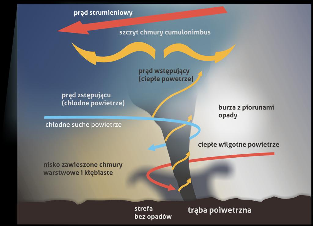 zimnymi i suchymi; różnica ciśnień pomiędzy środkiem trąby a jej częścią zewnętrzną wynosi nawet 100 hpa, co powoduje powstawanie bardzo silnych wiatrów dochodzących do 400 km/h i gwałtownych burz;