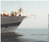 IOPAN 1997 rok W 1997 roku Pracownia Teledetekcji Morza