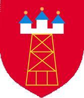 niezb dn wiedz i do wiadczenie do wykonania zamówienia. 4.