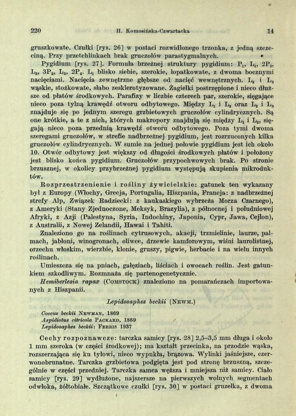 220 H. Ko m osińska-czw artacka 14 gruszkowate. Czułki [rys. 26] w postaci rozwidlonego trzonka, z jedną szczeciną. Przy przetclilinkach brak gruczołów parastygm alnycłi. Pygidium [rys. 27].