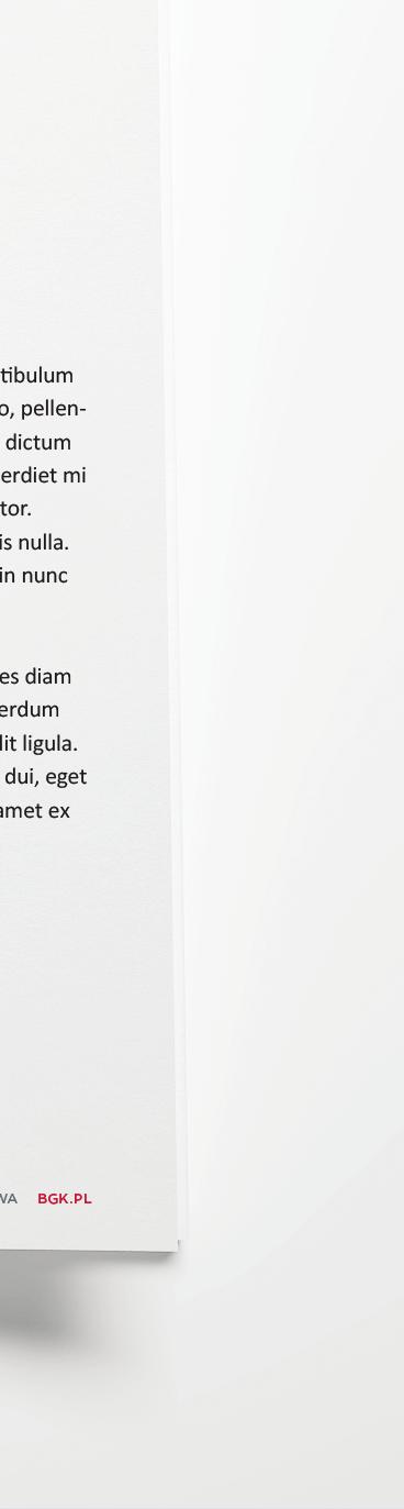 charakter poglądowy.