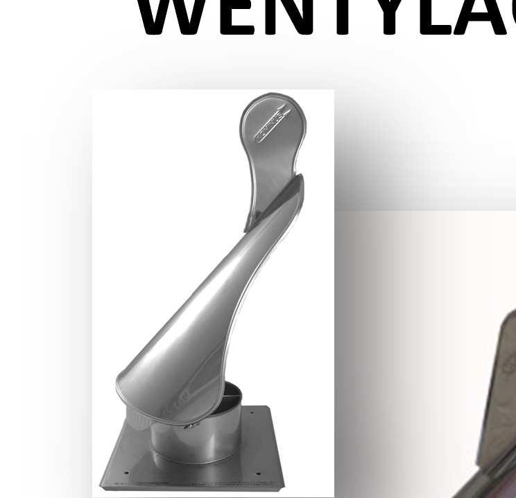 Podstawowe kryterium doboru to wspomniane wcześniej kryterium podziału ze względu na komin spalinowy i komin wentylacyjny.