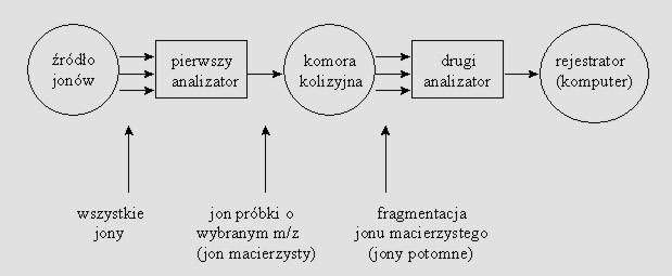 Tandemowa spektrometria mas tryb MS/MS Analiza jonów