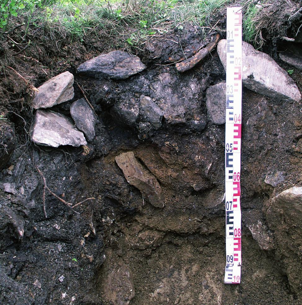 Waroszewski et al.