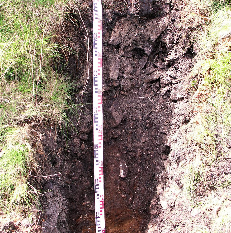 procesami soliflukcji oraz krioturbacji (Traczyk 1996).