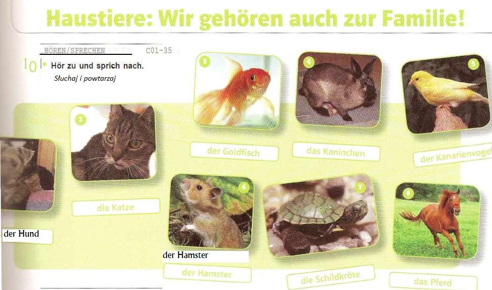 Nein, ich habe keine Geschwister. Ich bin Einzelkind / ein einziges Kind. Was mögen deine Eltern?