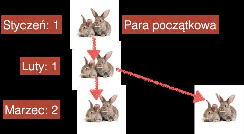 Ciag Fibonacciego - rozmnażanie królików Drugi