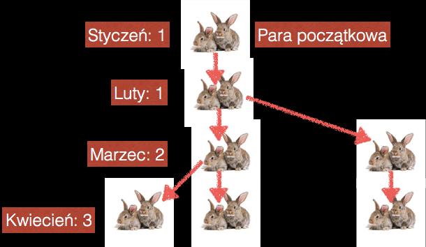 Ciag Fibonacciego - rozmnażanie królików Trzeci miesiac - stara para (w pionie) wydała na świat kolejna parę królików.