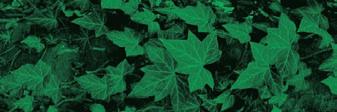 Warunki biodegradacji WWA w środowisku wodnym Maria Włodarczyk-Makuła, Monika Wierzbicka* Wprowadzenie Wielopierścieniowe węglowodory aromatyczne (WWA) należą do grupy toksycznych zanieczyszczeń