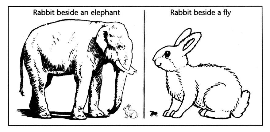PARADYGMAT SKANINGU MENTALNEGO Czy królik ma uszy?