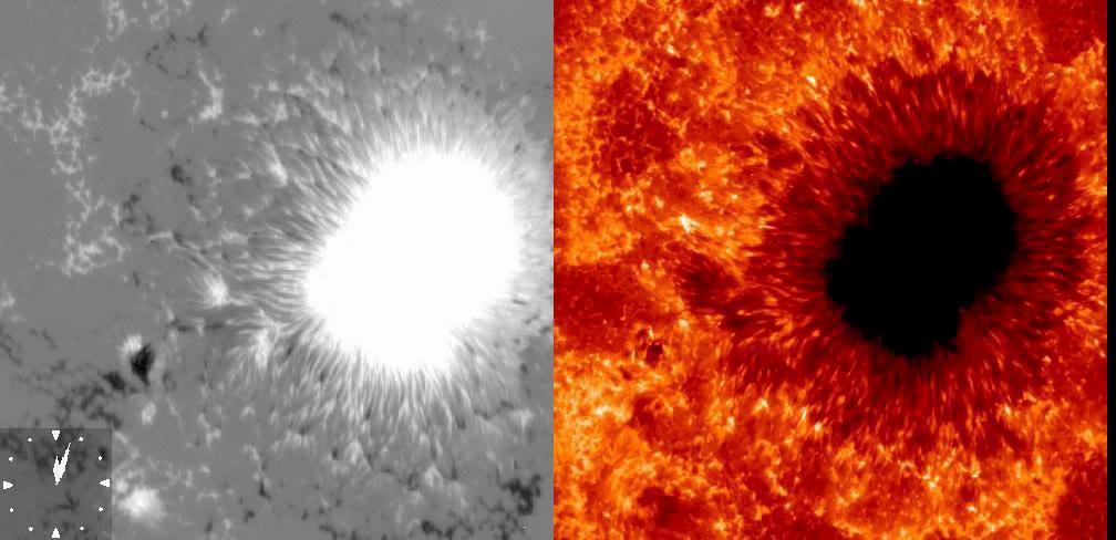 Plamy Słoneczne Typowe rozmiary plamy: średnica od 4 000 km do 30 000 km (czasem nawet 60 000 km) Temperatura: o 1000-1500 K niższa