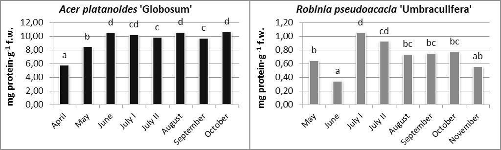 Lower values were recorded in April and May, and from June to October significantly higher values were observed. There was not observed a similar trend in the case of R.pseudoacacia leaves.