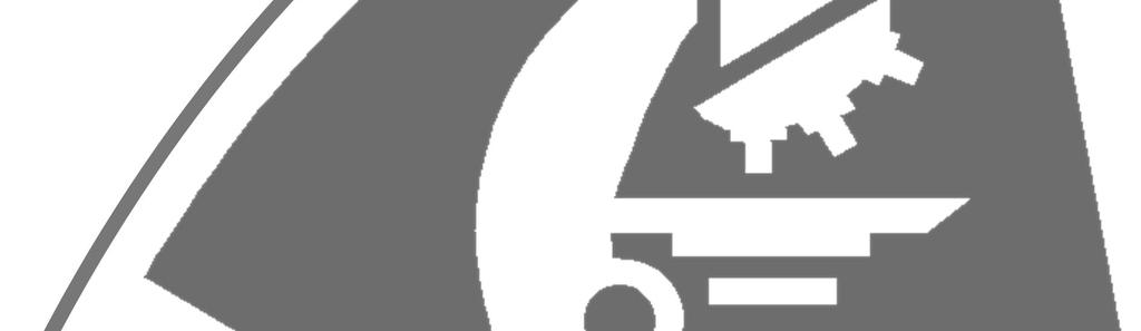 krawędziowo-płycinowa i jej odmiany,stanowiąca tak nośnik
