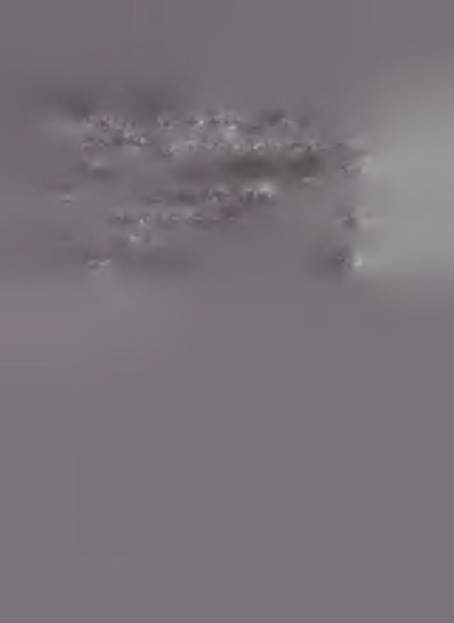 . & 3