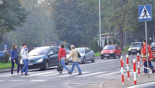 Wspólnie Walczą O Swoje Prawa W Polsce Od 2012 Roku Działa