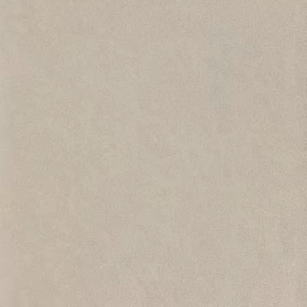 I CN 12 59,7x59,7 cm natura
