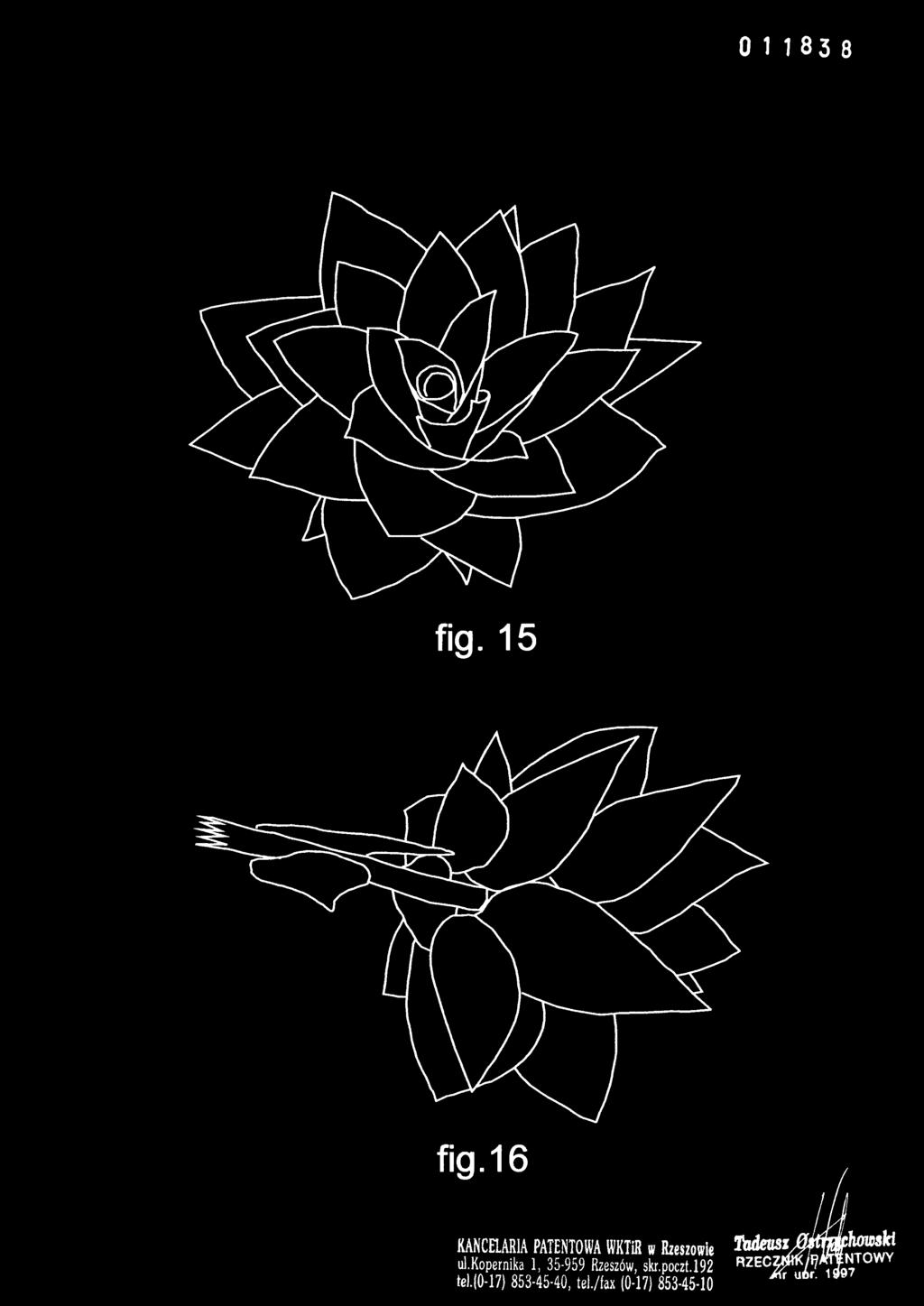 fig. 1 5