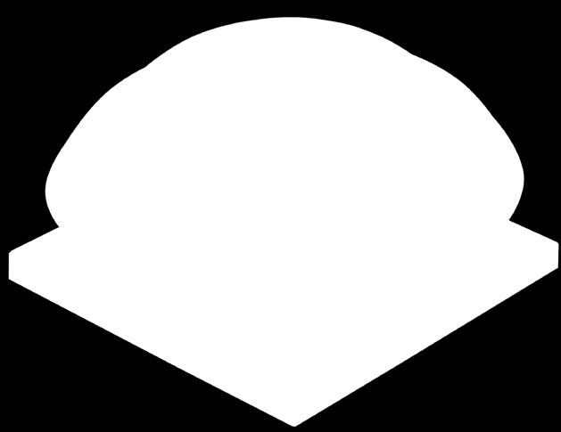 DACHOWE WDJ, WDJV I. PRZEDSTAWICIELSTWA FIRMY II.