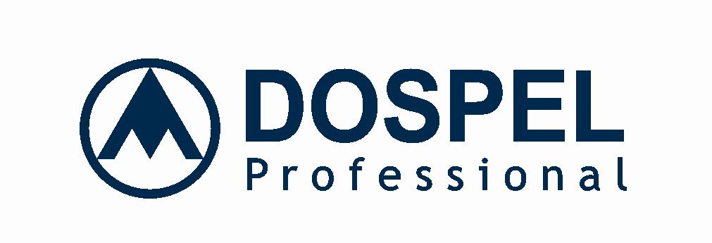 Karta Gwarancyjna Urządzeń DOSPEL Professional Nr fabryczny Data wydania rok; miesiąc; dzień Wydał MontaŜ Szczegółowe warunki gwarancji produktów DOSPEL Professional Zakres i zasięg terytorialny