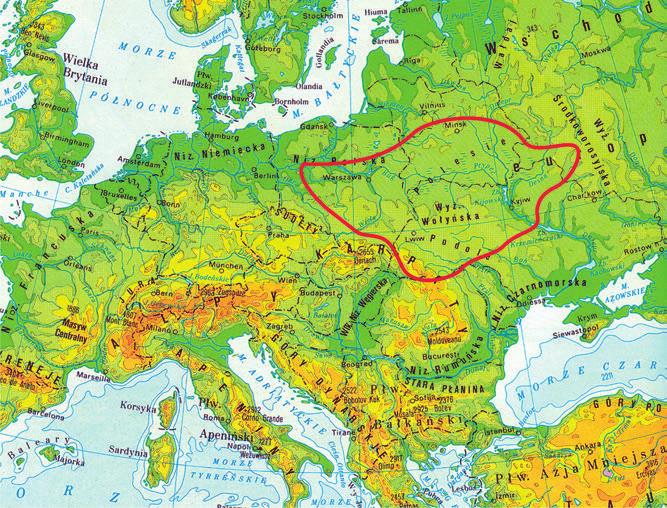 ŚRODKOWOEUROPEJSKA RUBIEŻ KULTUROWA MIĘDZY... DAS OSTMITTELEUROPÄISCHE GRENZGEBIET... 111 Ryc. 1. Mapa kompleksu Trzciniec Komarów Sośnica (wg Berezanskaja 1972; Dąbrowski 1972; z uzupełnieniami).