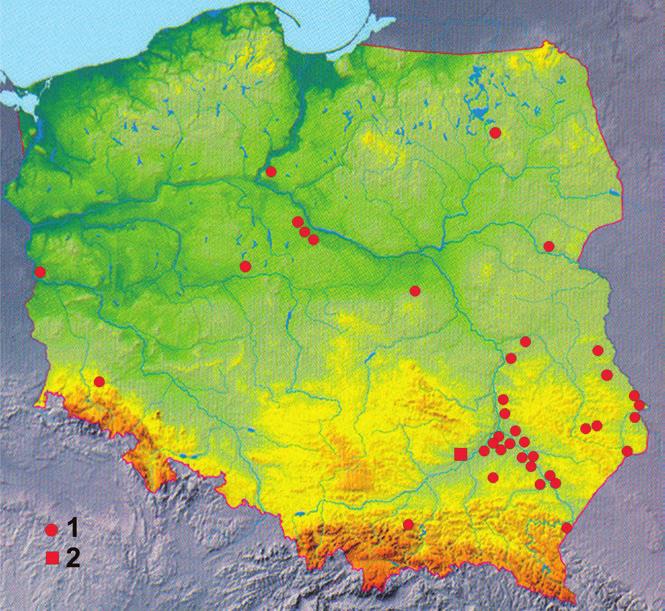 ŚRODKOWOEUROPEJSKA RUBIEŻ KULTUROWA MIĘDZY... DAS OSTMITTELEUROPÄISCHE GRENZGEBIET... 115 Ryc. 3. Stanowiska ze scytyjskimi zausznicami gwoździowanymi (1) i miejscem ich produkcji (2 Zawada k.