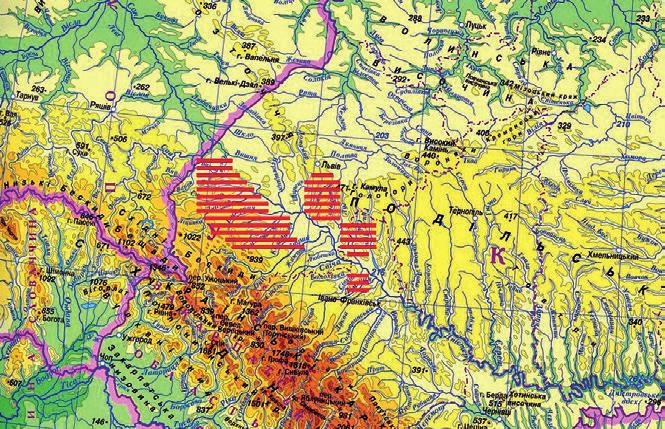 12 JAN MACHNIK, DMYTRO PAVLIV, VOLODYMYR PETEHYRYČ Ryc. 1.