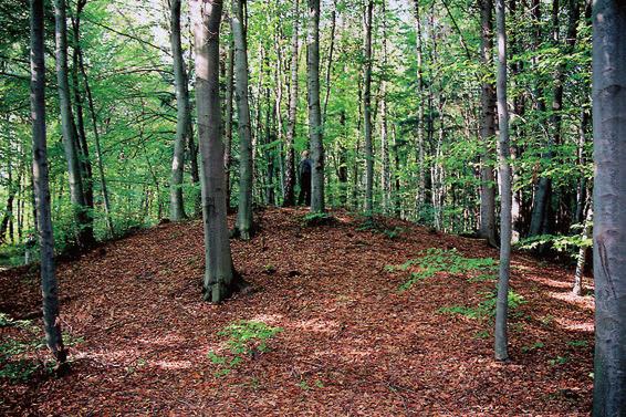 Drohobyč, eines der im offenen Gelände erhaltenen Hügelgräber (Foto J. Machnik). Ryc. 4. Kolodijev, rej.