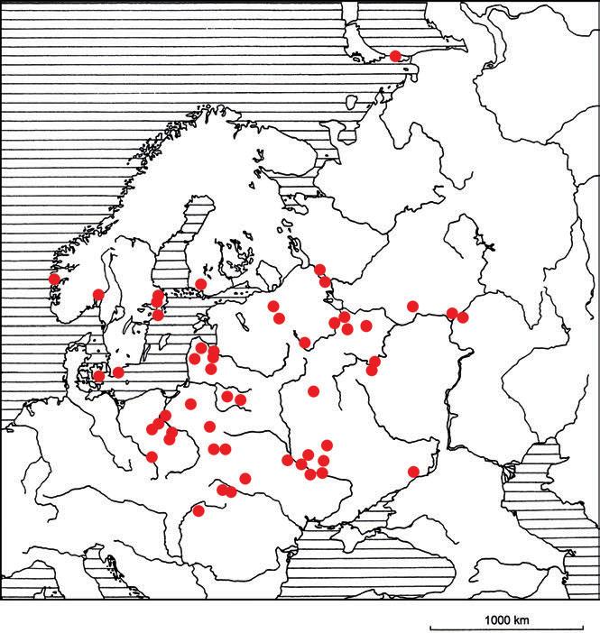 MIĘDZY GNIEZNEM, KRAKOWEM A KIJOWEM... ZWISCHEN GNESEN, KRAKAU UND KIEV... 193 Ryc. 11.