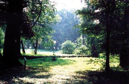 Zostały wykonane ławki, wiata, miejsce na ognisko oraz mini plaża.