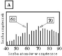 FOTON 95, Zima 2006 27 steczki, zabierane następnie z miejsca powstania i kierowane do przyrządu, pozwalającego określić ich masy i ilości, zwanego spektrometrem masowym.