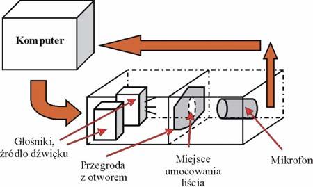 36 FOTON 95, Zima 2006 Dla każdego gatunku wykonałam 11 pomiarów, z czego pierwszy pomiar był kontrolny (przegroda otwarta).
