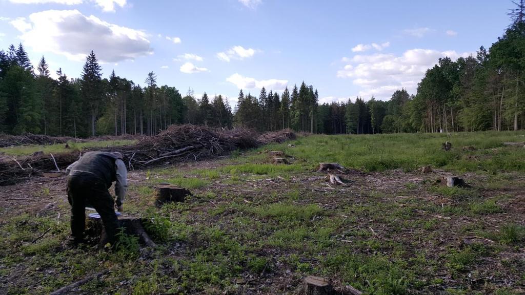 Problemy ze skarbem Park Narodowy chroni tylko 17% PB BPN + rezerwaty łącznie 36% PB