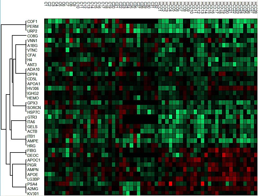 Porównanie eksosomów: HCC vs. kontrole Control n=43 HCC (n=29) HCC (n=29) vs Control (n=32) icca (n=12) vs HCC (n=29) Protein SEN SPE AUC p value Protein SEN SPE AUC p value Fold change LG3BP 96.6 71.