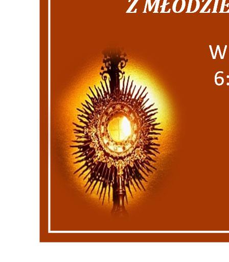 Page Ten Ascension Sunday May 8, 2016 JEDNODNIOWA PIELGRZYMKA DO SANKTUARIUM MATKI BOŻEJ DOBREJ POMOCY!
