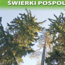 przy drodze leśnej w oddziale 8k według Uproszczonego