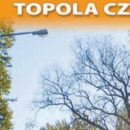 Pozycja w wojewódzkim rejestrze