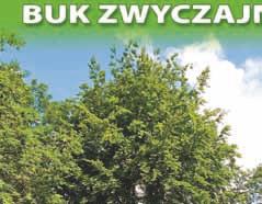 wezwaniem Najświętszego Serca
