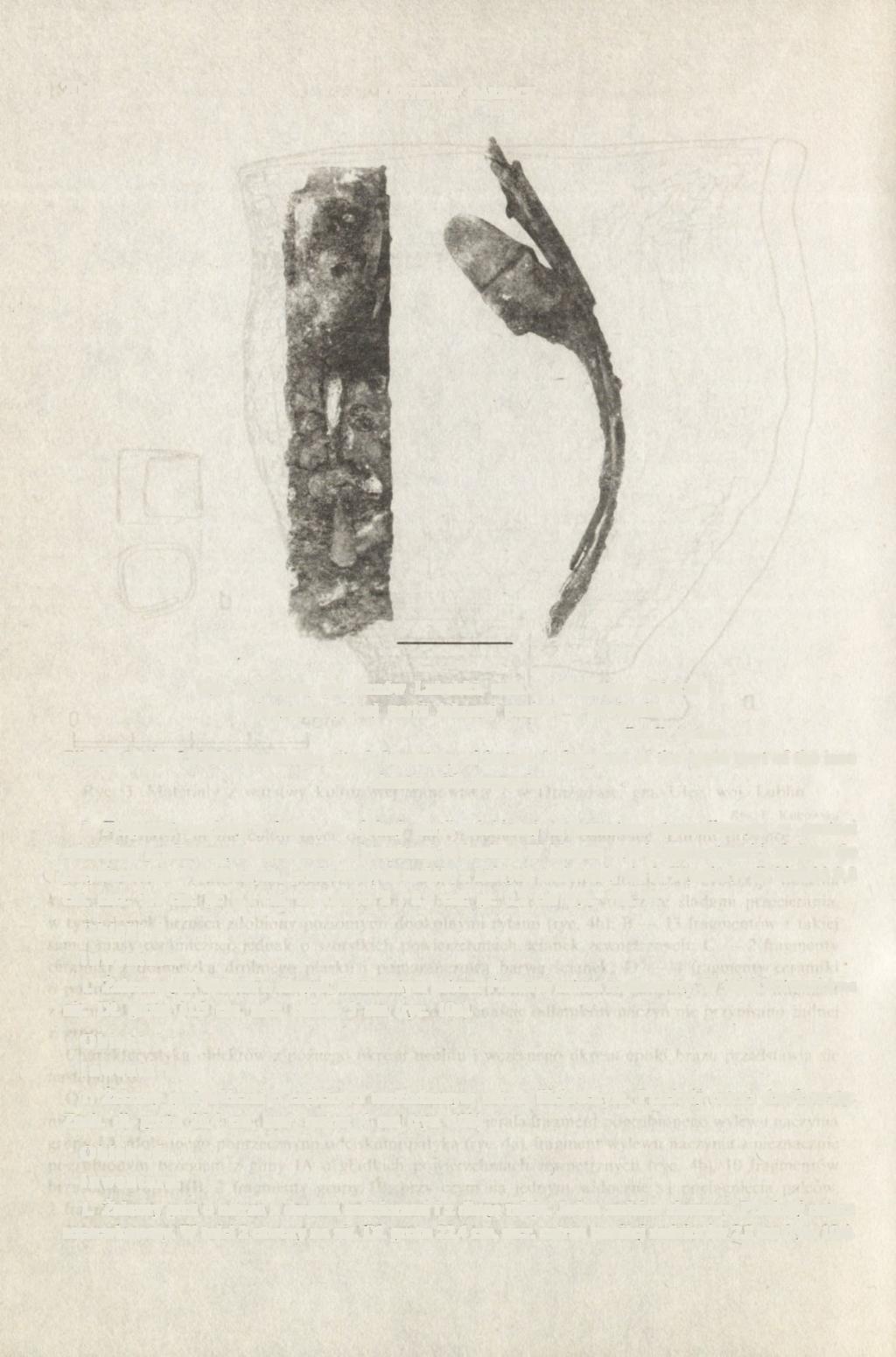 204 KRZYSZTOF GARBACZ Ryc. 5. Pikule, gm. Janów Lubelski, stan. 2. Inwentarz obiektu 1 : fragment górnej partii żelaznej pochwy z zawieszką Fot. K. Garbacz Pikule, Janów Lubelski commune, site 2.