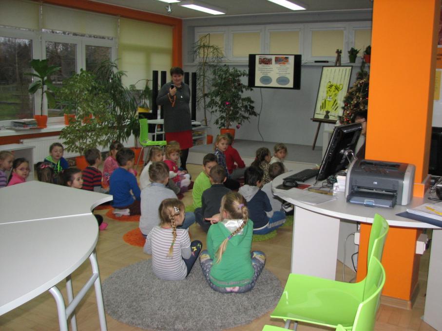 Od 2006 r. na mocy Porozumienia Burmistrza Miasta Łańcuta i Starosty Powiatu Łańcuckiego realizuje zadania biblioteki powiatowej.