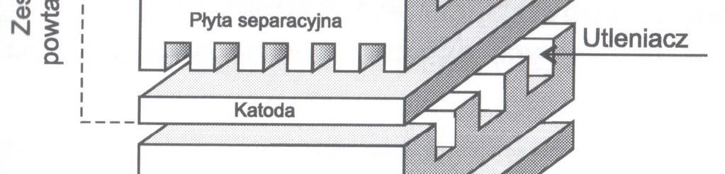 przedsiębiorstwom wytwarzającym energię elektryczną, spółkom przesyłowym i dystrybucyjnym oraz odbiorcom.