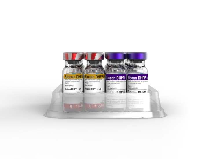 Biocan DHPPi + LR złożona szczepionka do czynnego uodparniania psów od 12 tygodnia życia Do czynnego uodparniania psów przeciwko nosówce, zakaźnemu zapaleniu wątroby, parwowirozie, zakażeniom układu