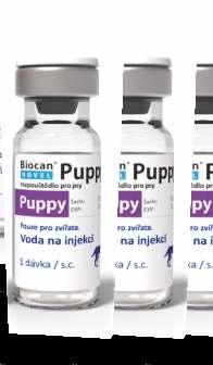 życia (wcześniej od 8 tyg. życia) z użyciem 4 serotypów (wzbogacono skład o L. Bra slava) szczepienie przeciwko wściekliźnie od 8 9 tyg.