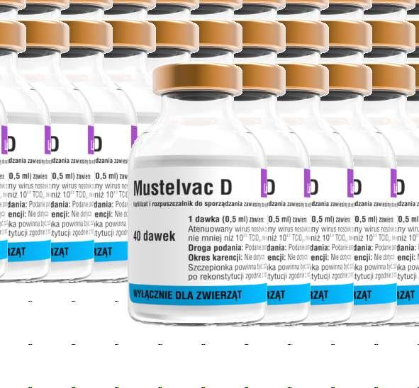 miesięcy Testowanie wpływu odporności matczynej ochrona już w 3 tygodnie po podstawowym zaszczepieniu młodych z wysokim mianem przeciwciał matczynych N a
