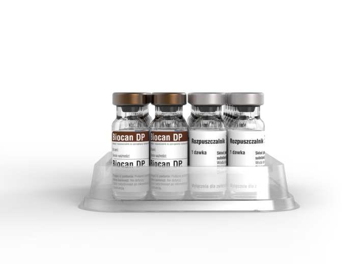 Biocan DP żywa szczepionka przeciwko nosówce i parwowirozie psów od 6 tygodnia życia Maksymalny poziom przeciwciał pojawia