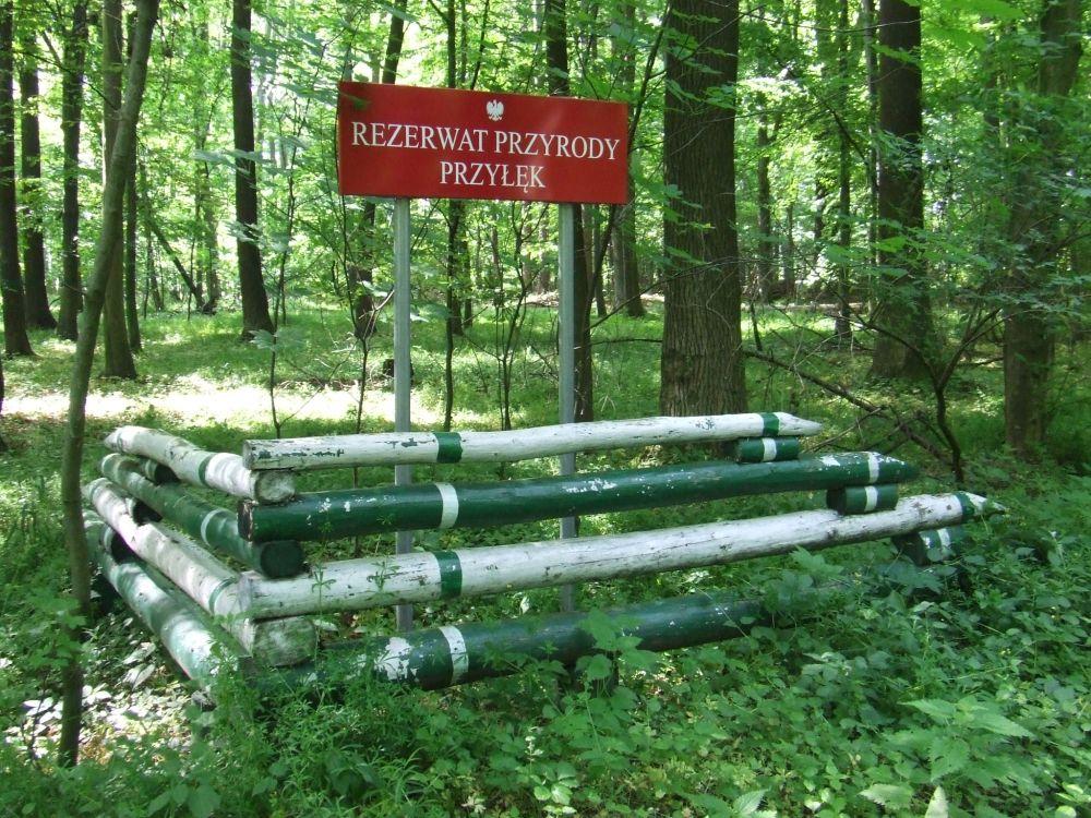 polskich, wówczas leżących w granicach Niemiec. Tuż po wojnie na tzw. Ziemiach Odzyskanych wykazano 172 obiekty chronione przez Niemców w formie rezerwatów.