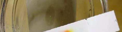 Chromatografia