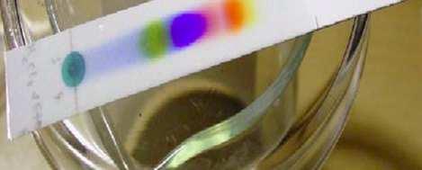 (thin layer chromatography