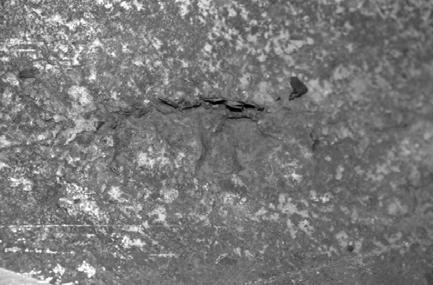 94 T R I B O L O G I A 4-2016 and the material delamination of the wheel thread in the form of shells followed by their rolling (Fig. 3).