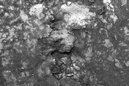 Previous experience shows that the observed wear image is the result of simultaneous actions of numerous factors of constructional, technological, and exploitational characters [L. 1, 4] Fig. 2.
